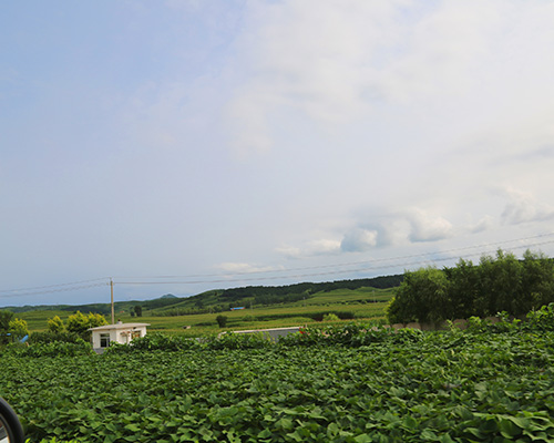 種雞場(chǎng)環(huán)境