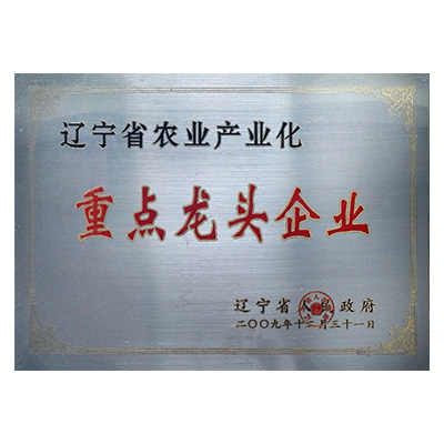 重點(diǎn)龍頭企業(yè)