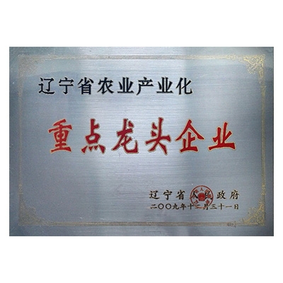 重點龍頭企業(yè)